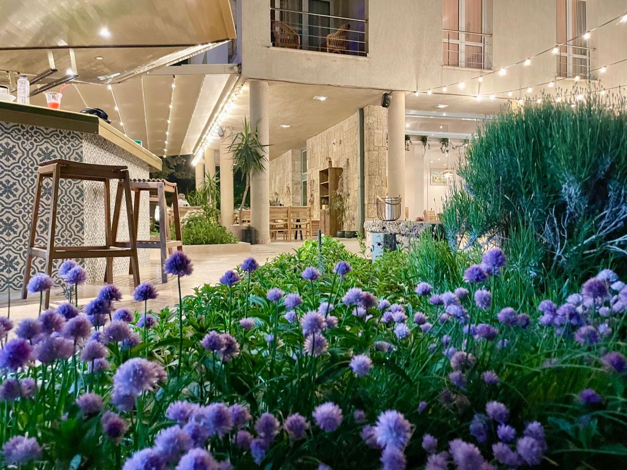Hotel Carmen 데포리노드 외부 사진